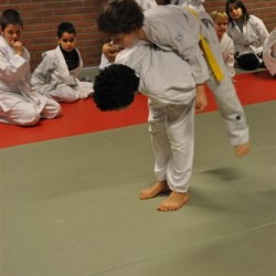 DSC 0287  Medium - Judoclub Zaventem 